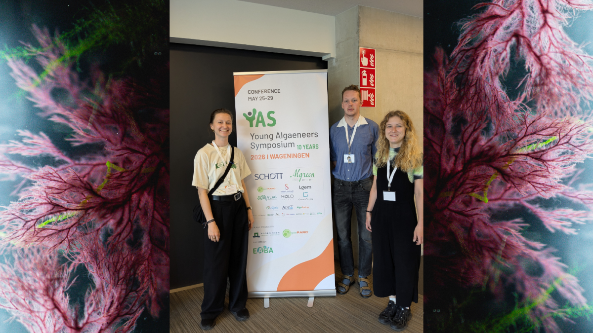 V.l.n.r.: Svenja von Werner, Yannick Schwert und Valeriya Denisova beim Young Algaeneers Symposium 2026 in Wageningen ( © S. von Werner, IGZ)