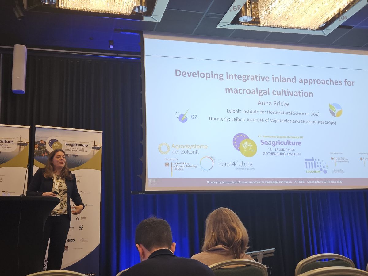 Dr. Anna Fricke während ihres Vortrags „Developing integrative inland approaches for macroalgal cultivation“ bei der Seagriculture EU 2026 (© R. Pereira, a4f)