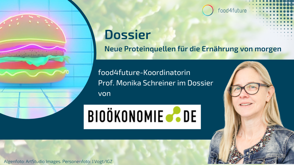 Neue Proteinquellen für die Ernährung von morgen - Bioökonomie.de