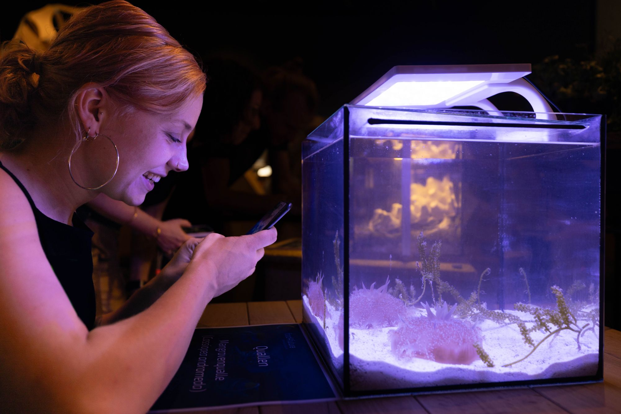 Besucherin der Langen Nacht der Museen im Futurium beim food4future-Quallen-Exponat mit der Mangrovenqualle Cassiopea andromeda © Futurium, berlin-event-foto.de
