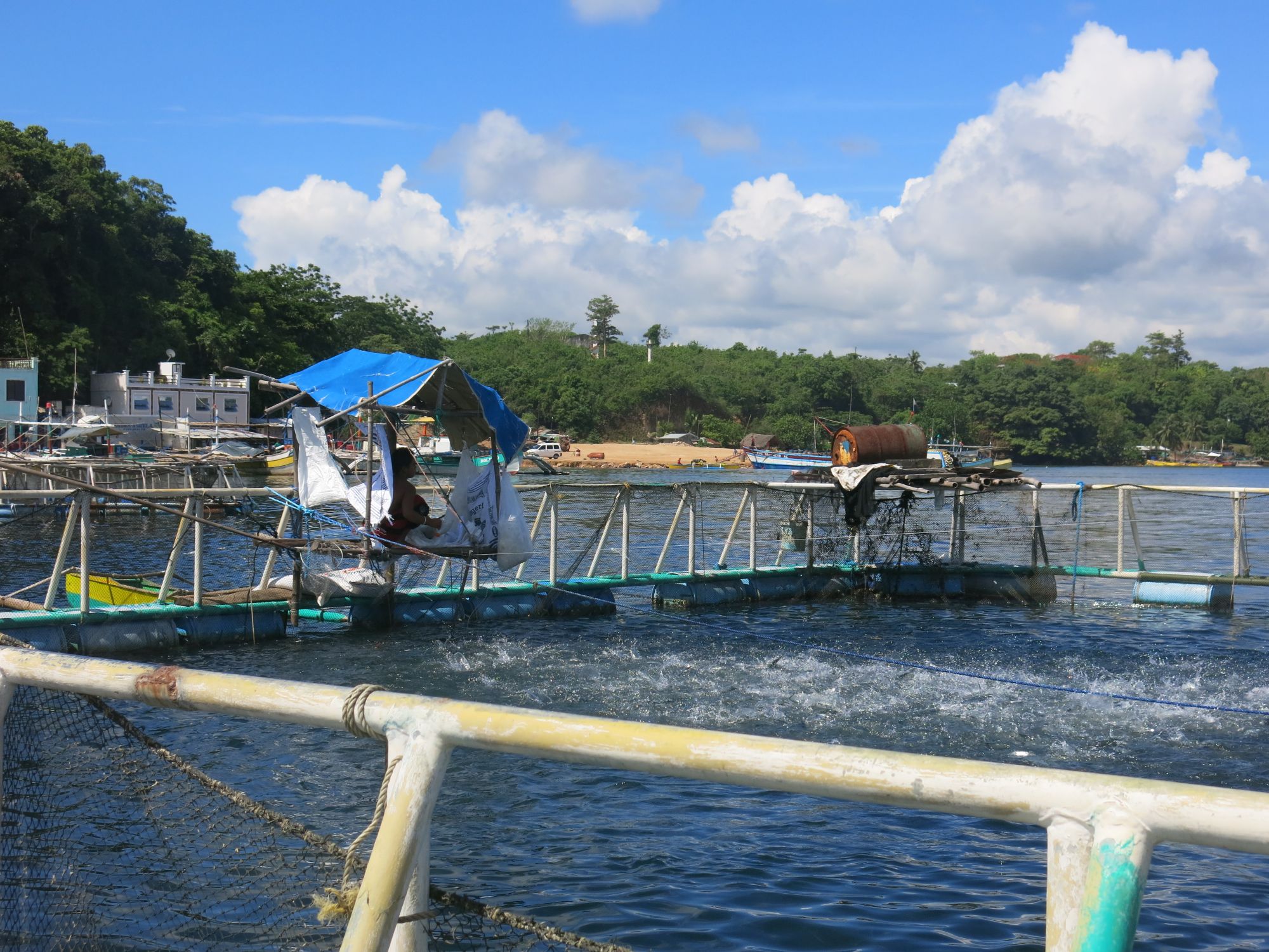 Marikulturanlage in den Philippinen